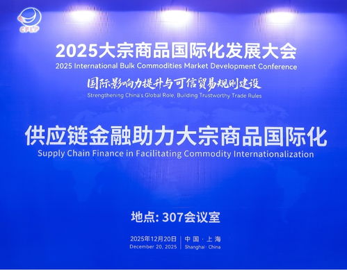 供应链金融赋能大宗商品国际化 2025年大会平行活动聚焦信息技术咨询服务