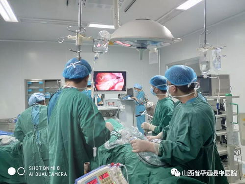 以技术创新与用心服务 推动医院高质量发展 信息技术咨询的价值与实践